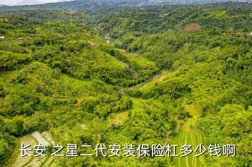  长安 之星二代安装保险杠多少钱啊