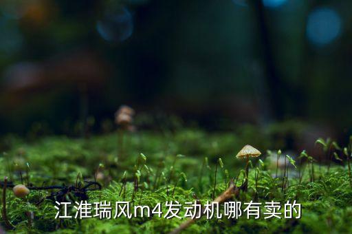  江淮瑞风m4发动机哪有卖的