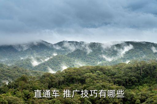  直通车 推广技巧有哪些