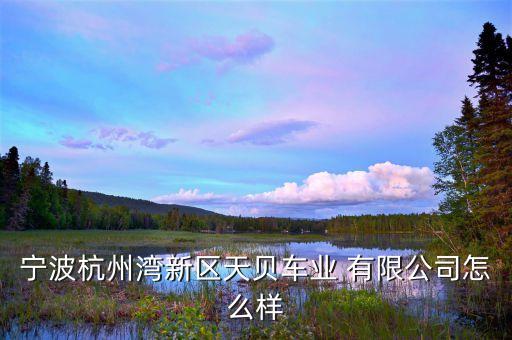 宁波杭州湾新区天贝车业 有限公司怎么样