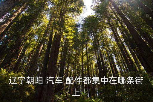 辽宁朝阳 汽车 配件都集中在哪条街上