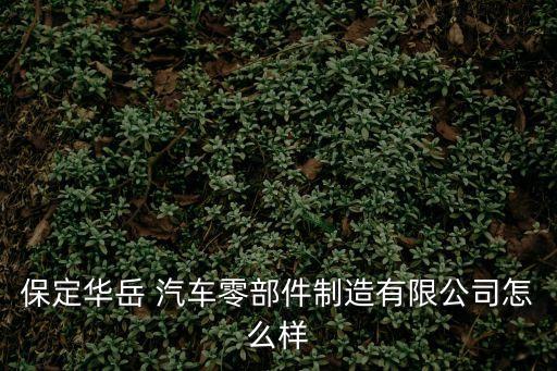 保定华岳 汽车零部件制造有限公司怎么样
