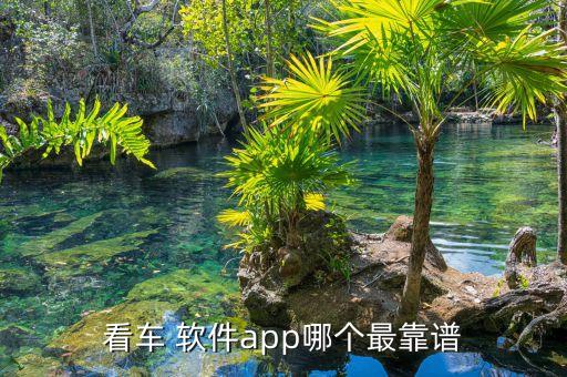 看车 软件app哪个最靠谱
