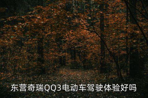 东营奇瑞QQ3电动车驾驶体验好吗