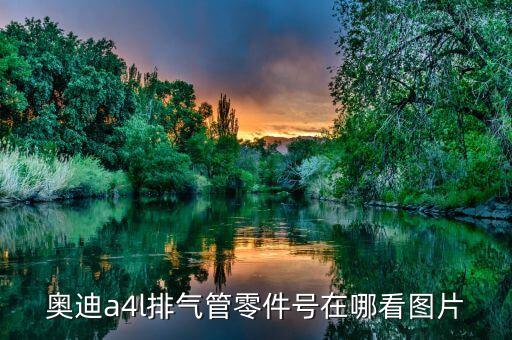 奥迪a4l排气管零件号在哪看图片