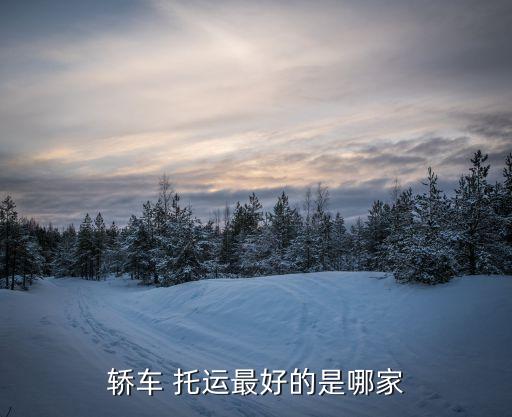 轿车 托运最好的是哪家