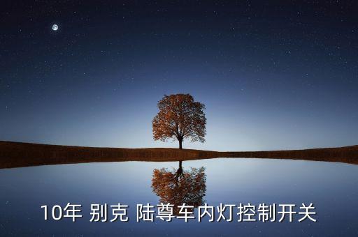 10年 别克 陆尊车内灯控制开关