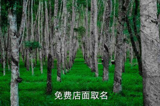  免费店面取名