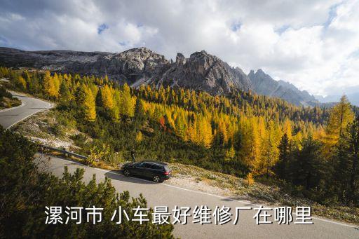 漯河市 小车最好维修厂在哪里