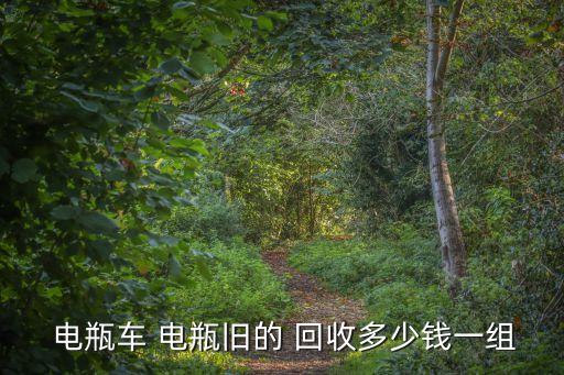  电瓶车 电瓶旧的 回收多少钱一组