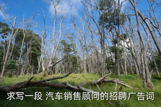 求写一段 汽车销售顾问的招聘广告词