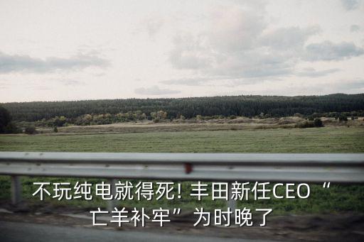 不玩纯电就得死! 丰田新任CEO“亡羊补牢”为时晚了