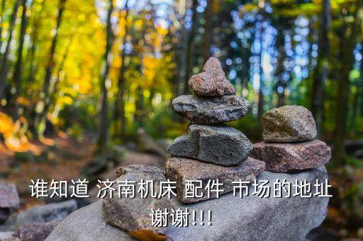 谁知道 济南机床 配件 市场的地址谢谢!!!