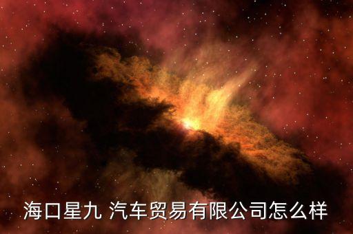 海口星九 汽车贸易有限公司怎么样
