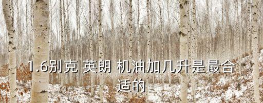 1.6别克 英朗 机油加几升是最合适的