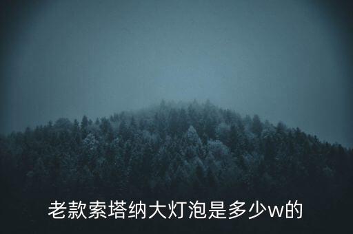 老款索塔纳大灯泡是多少w的