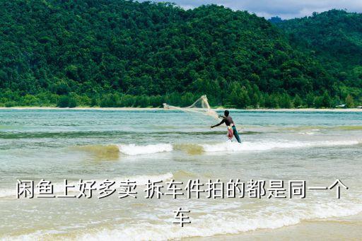 闲鱼上好多卖 拆车件拍的都是同一个车