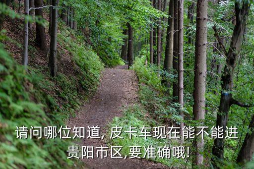 请问哪位知道, 皮卡车现在能不能进 贵阳市区,要准确哦!