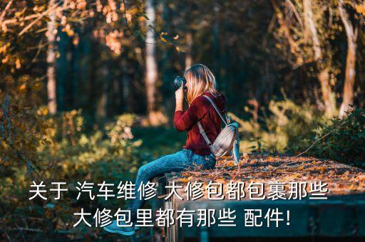 关于 汽车维修 大修包都包裹那些 大修包里都有那些 配件!
