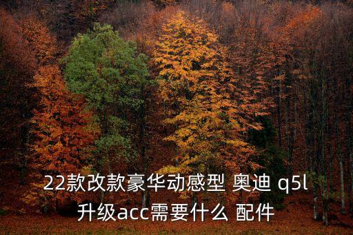 22款改款豪华动感型 奥迪 q5l升级acc需要什么 配件