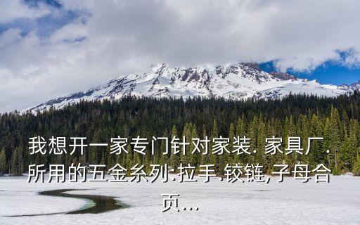 我想开一家专门针对家装. 家具厂.所用的五金糸列:拉手.铰链,子母合页...
