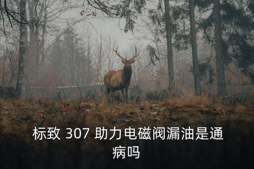  标致 307 助力电磁阀漏油是通病吗