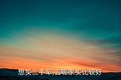 想买二手车,去哪家买比较好