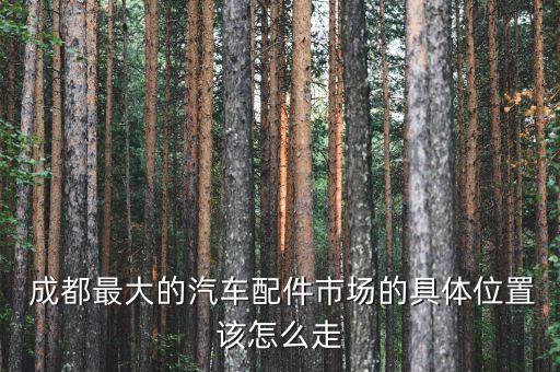 成都汽配城包安装吗,成都拆车件汽配城