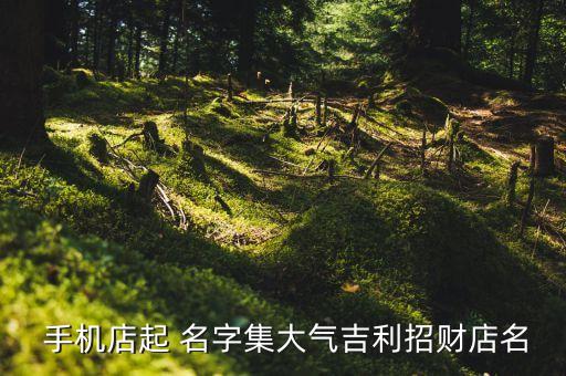  手机店起 名字集大气吉利招财店名
