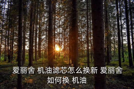  爱丽舍 机油滤芯怎么换新 爱丽舍如何换 机油