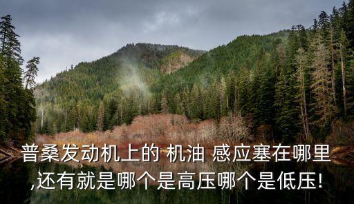 普桑发动机上的 机油 感应塞在哪里,还有就是哪个是高压哪个是低压!