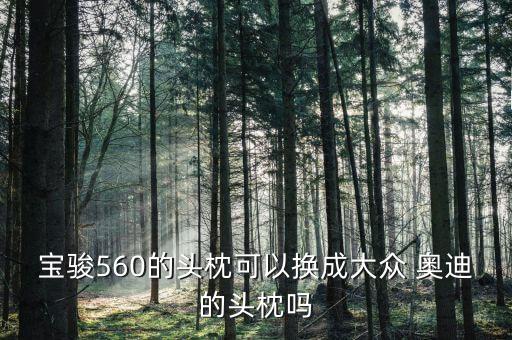 宝骏560的头枕可以换成大众 奥迪的头枕吗