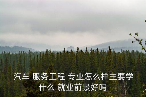  汽车 服务工程 专业怎么样主要学什么 就业前景好吗