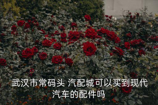  武汉市常码头 汽配城可以买到现代汽车的配件吗