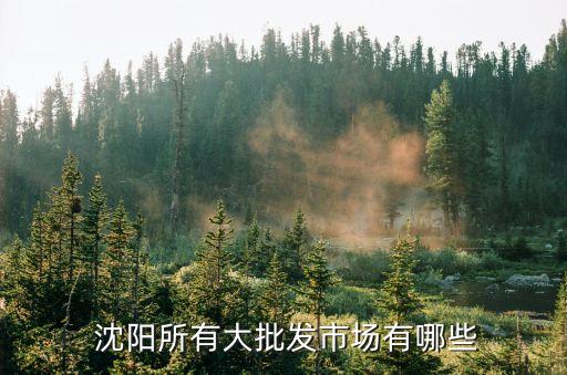  沈阳所有大批发市场有哪些