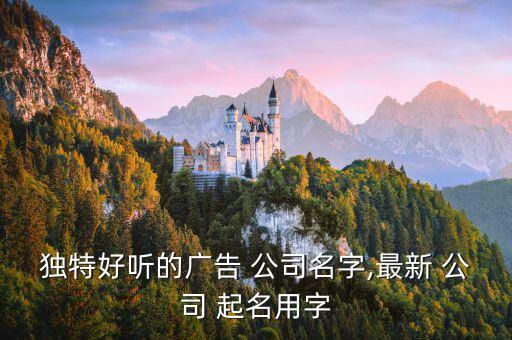 独特好听的广告 公司名字,最新 公司 起名用字