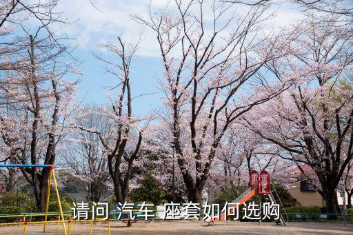 买汽车座套去哪个网,汽车座套买什么材料的好