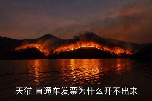  天猫 直通车发票为什么开不出来
