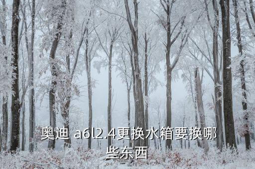  奥迪 a6l2.4更换水箱要换哪些东西