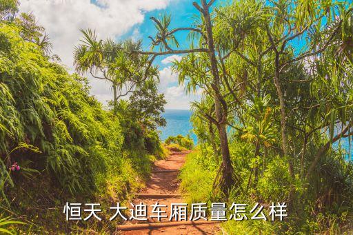 恒天 大迪车厢质量怎么样