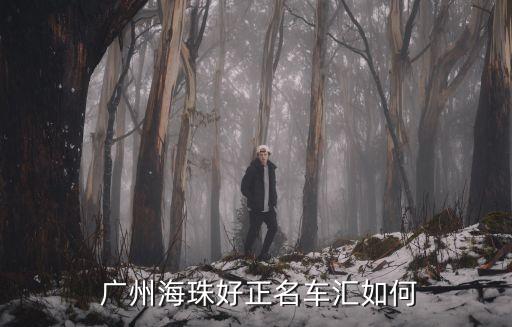  广州海珠好正名车汇如何