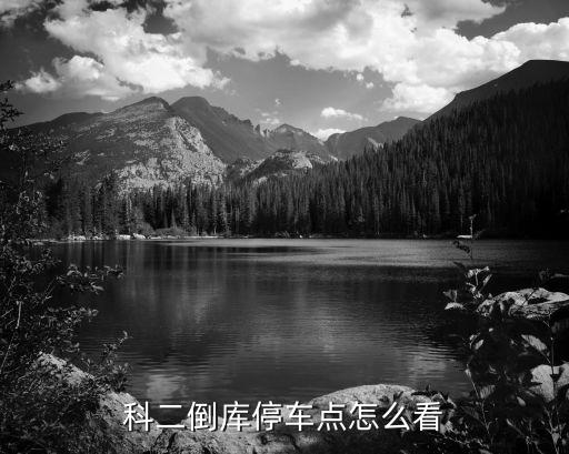 科二倒库停车点怎么看
