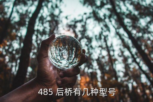 485免维护后桥怎么样,东风485的桥怎么样