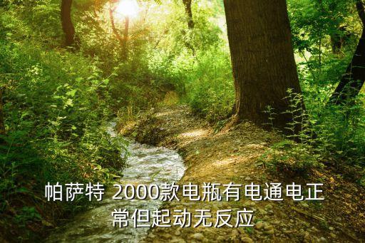  帕萨特 2000款电瓶有电通电正常但起动无反应