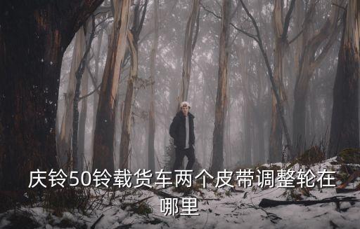 庆铃50铃载货车两个皮带调整轮在哪里