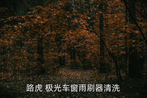 路虎 极光车窗雨刷器清洗