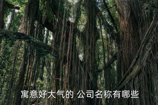  寓意好大气的 公司名称有哪些