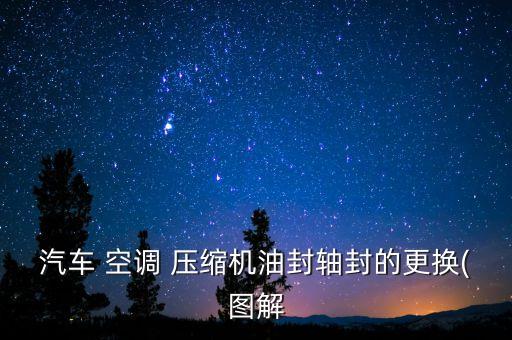 汽车 空调 压缩机油封轴封的更换(图解
