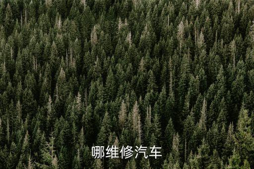哪维修汽车