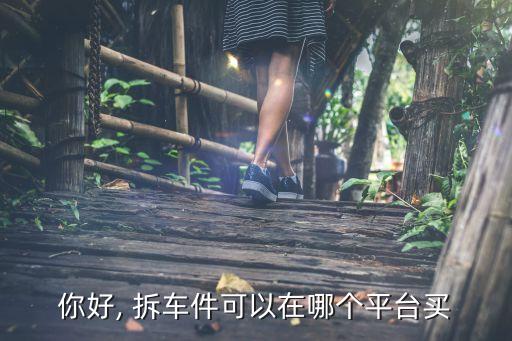你好, 拆车件可以在哪个平台买